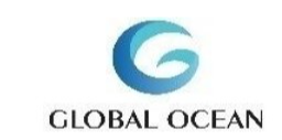 global-ocean-logistics-india-ltd