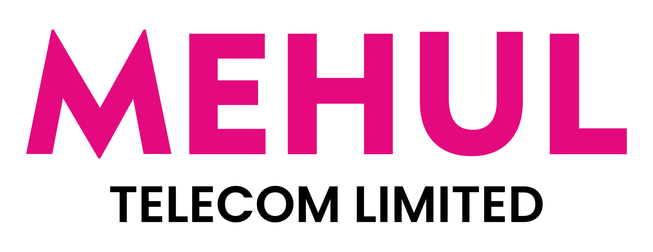 Mehul Telecom Ltd. (BSE SME)