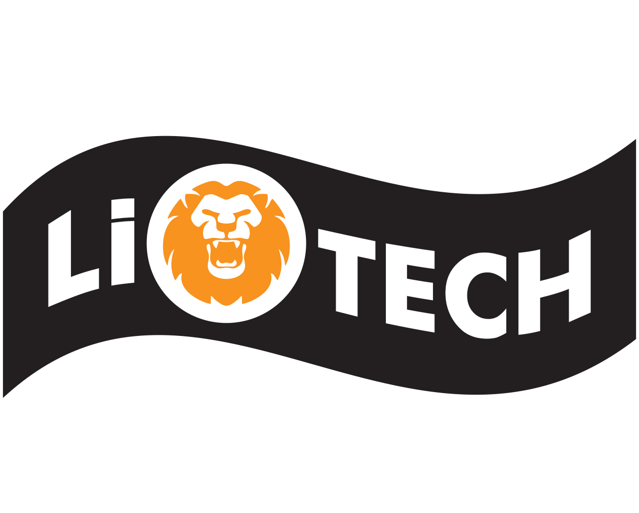 Liotech Industries Ltd. (BSE SME)