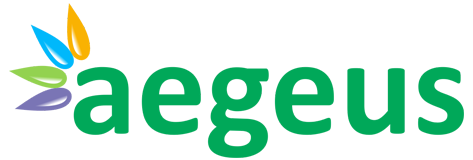 Aegeus Technologies Ltd. IPO